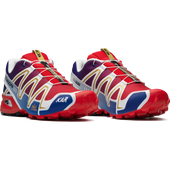 SALOMON L'ART - SPEEDCROSS 3